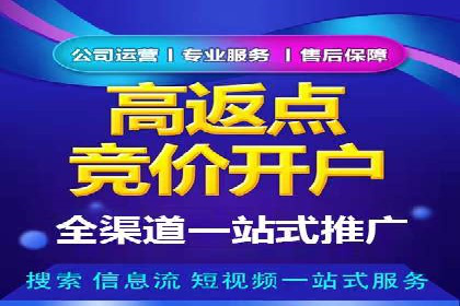 网络营销新篇章：竞价推广案例分析